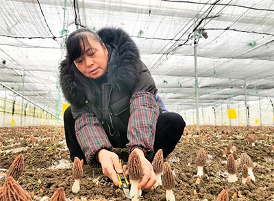 八届黔西南州纪委二次全会召开