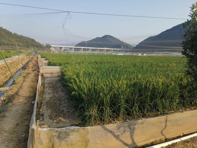 贵州开往书香新华专列进入黔西南州站